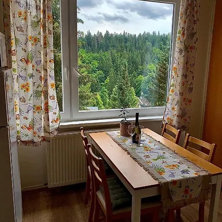 Апартаменты Apartmanek Protez *