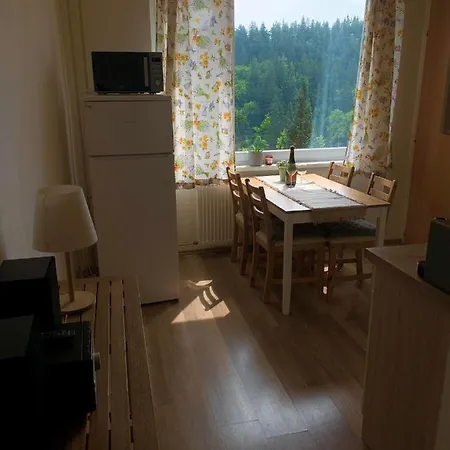 Apartament Apartmanek Protez