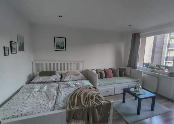 Apartmanek Protez Apartment Johannisbad